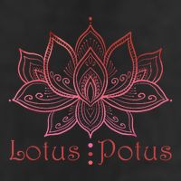 Lotus Potus In Red And Shades Hat