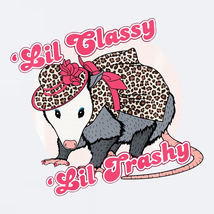 Leopard Possum Lil Classy Lil Trashy Possum Sarcastic Sueded Cloud Jersey T-Shirt