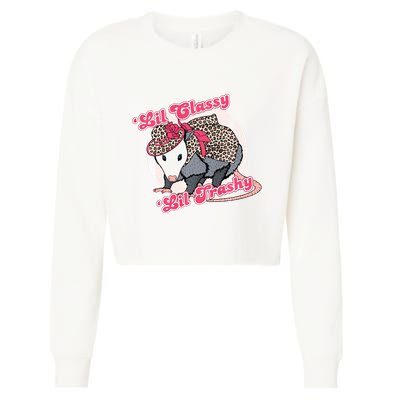 Leopard Possum Lil Classy Lil Trashy Possum Sarcastic Cropped Pullover Crew