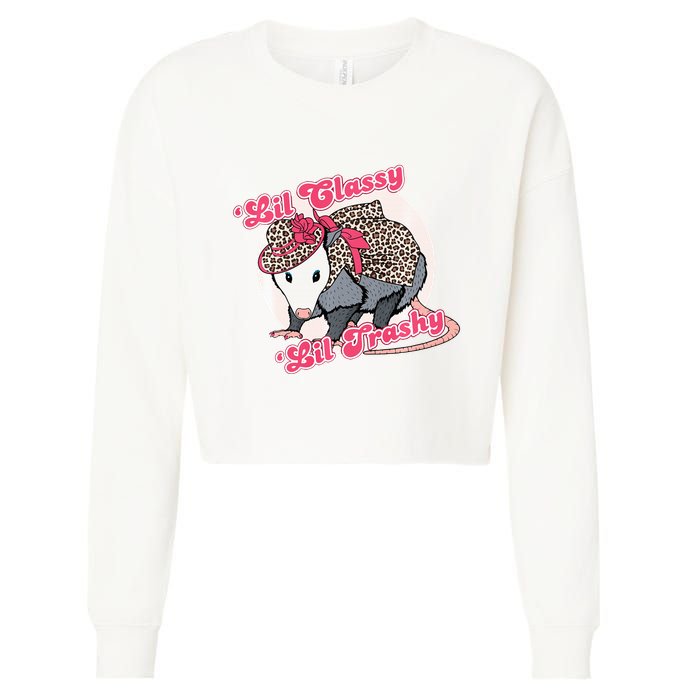 Leopard Possum Lil Classy Lil Trashy Possum Sarcastic Cropped Pullover Crew