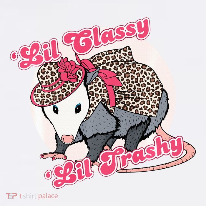 Leopard Possum Lil Classy Lil Trashy Possum Sarcastic Women's V-Neck T-Shirt