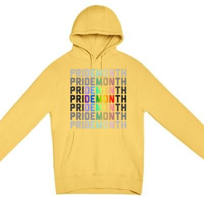 Lgbtqia Pride Month Design Gaypride Love Premium Pullover Hoodie