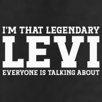 Levi Personal Name Funny Levi 7 Panel Mesh Trucker Snapback Hat