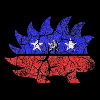 Libertarian Party Porcupine More Freedom Less Government Poster