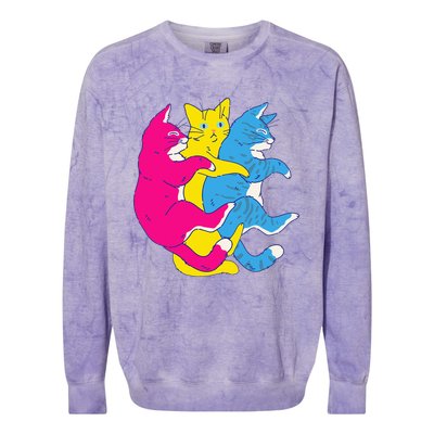 LGBTQ Pansexual Pride Flag Cats Pile Pansexual Colorblast Crewneck Sweatshirt