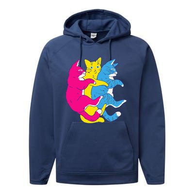 LGBTQ Pansexual Pride Flag Cats Pile Pansexual Performance Fleece Hoodie