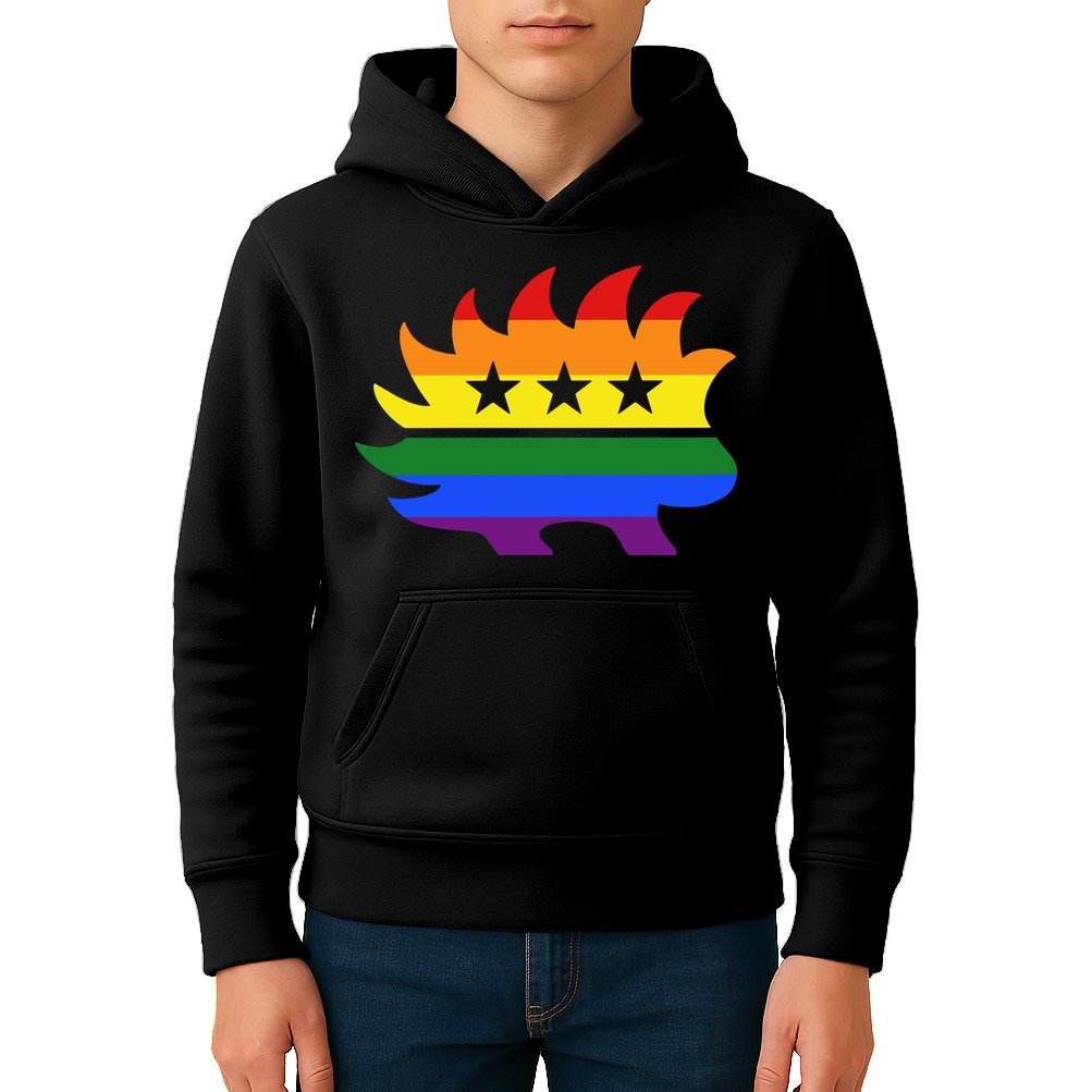 Libertarian Party Porcupine Rainbow Kids Hoodie