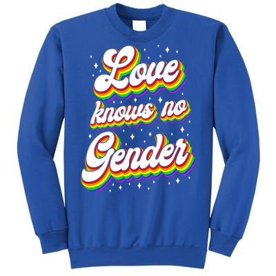 Lgbt Pride Rainbow Love Knows No Gender Gift Sweatshirt