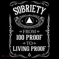 Living Proof Sobriety Anniversary Sober AA NA Recovery Poster