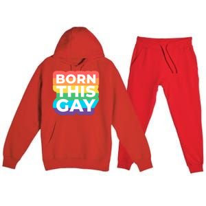 Lgbtq Pride Stonewall Born This Gay Great Gift Premium Hooded Sweatsuit Set