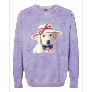 Labrador Puppy USA Flag American Dogs Patriotic 4th Of July Colorblast Crewneck Sweatshirt