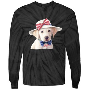 Labrador Puppy USA Flag American Dogs Patriotic 4th Of July Tie-Dye Long Sleeve Shirt