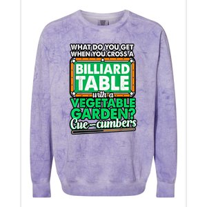 Lover Quote Humor Joke Pool Pun Funny Billiards Gift Colorblast Crewneck Sweatshirt