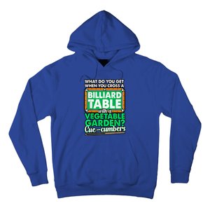 Lover Quote Humor Joke Pool Pun Funny Billiards Gift Hoodie