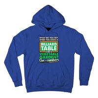 Lover Quote Humor Joke Pool Pun Funny Billiards Gift Hoodie