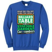 Lover Quote Humor Joke Pool Pun Funny Billiards Gift Sweatshirt