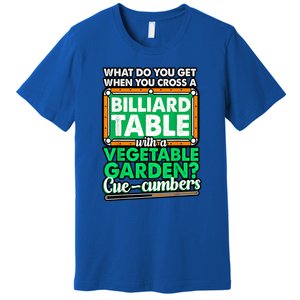 Lover Quote Humor Joke Pool Pun Funny Billiards Gift Premium T-Shirt