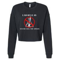 Lab Rule 1 Never Lick The Spoon Funny Science Chemistry Cropped Pullover Crew