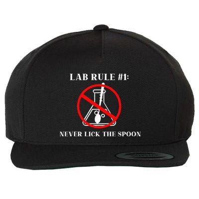 Lab Rule 1 Never Lick The Spoon Funny Science Chemistry Wool Snapback Cap