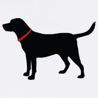 Labrador Retriever Black Golf Towel