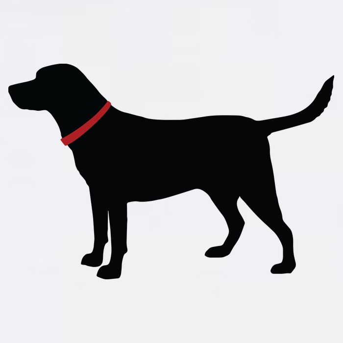 Labrador Retriever Black Golf Towel