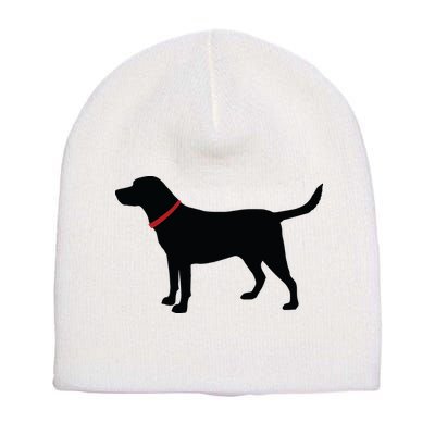Labrador Retriever Black Short Acrylic Beanie