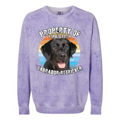 Labrador Retriever Black Owner Lover Retro Vintage Colorblast Crewneck Sweatshirt