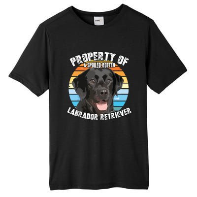 Labrador Retriever Black Owner Lover Retro Vintage Tall Fusion ChromaSoft Performance T-Shirt