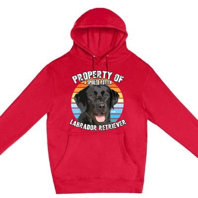 Labrador Retriever Black Owner Lover Retro Vintage Premium Pullover Hoodie