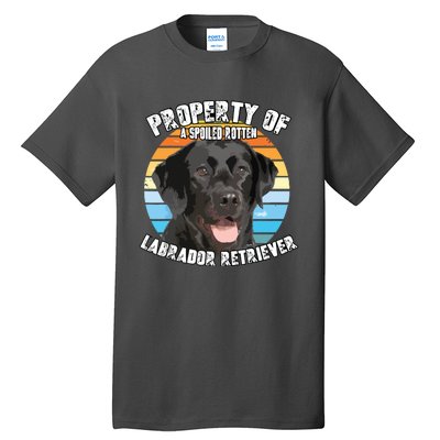 Labrador Retriever Black Owner Lover Retro Vintage Tall T-Shirt