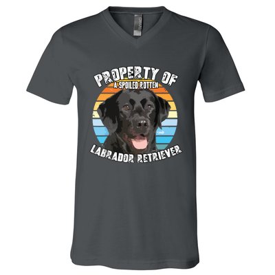 Labrador Retriever Black Owner Lover Retro Vintage V-Neck T-Shirt