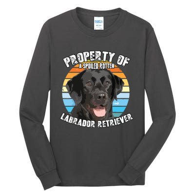 Labrador Retriever Black Owner Lover Retro Vintage Tall Long Sleeve T-Shirt