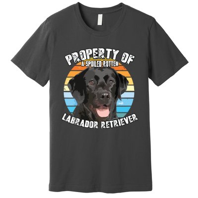 Labrador Retriever Black Owner Lover Retro Vintage Premium T-Shirt