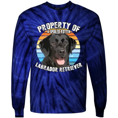 Labrador Retriever Black Owner Lover Retro Vintage Tie-Dye Long Sleeve Shirt