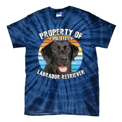 Labrador Retriever Black Owner Lover Retro Vintage Tie-Dye T-Shirt