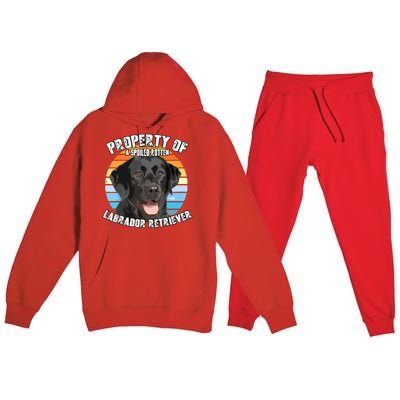 Labrador Retriever Black Owner Lover Retro Vintage Premium Hooded Sweatsuit Set