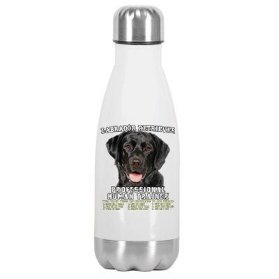 Labrador Retriever Black Lab Professional Human Trainer Cute Dog Stainless Steel Insulated Water Bottle