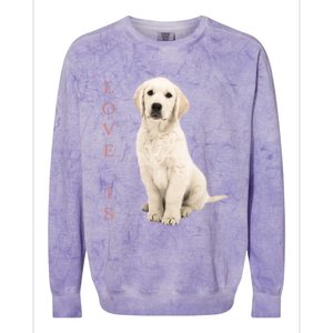 Labrador Retriever Cool Gift White Lab Dog Mom Gift Colorblast Crewneck Sweatshirt