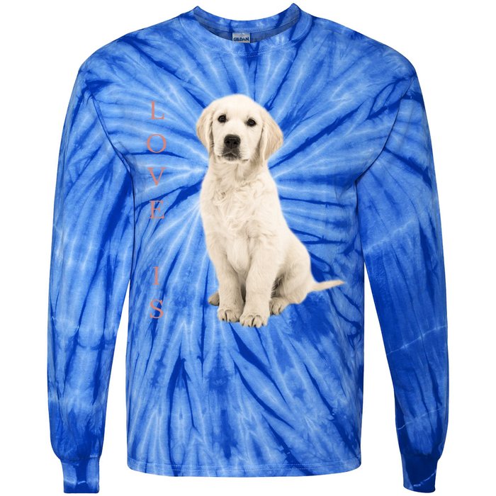 Labrador Retriever Cool Gift White Lab Dog Mom Gift Tie-Dye Long Sleeve Shirt