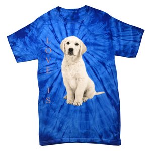 Labrador Retriever Cool Gift White Lab Dog Mom Gift Tie-Dye T-Shirt