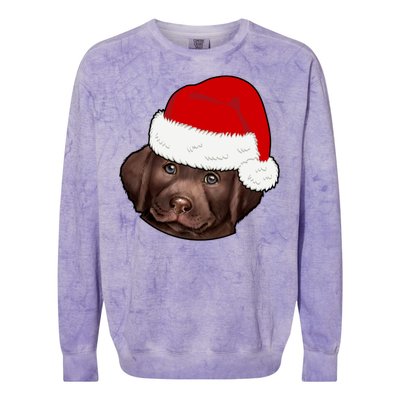 Labrador Retriever Dog Lover Funny Cute Hat Christmas Santa Great Gift Colorblast Crewneck Sweatshirt