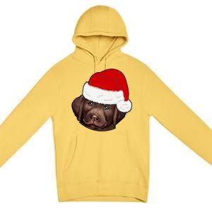 Labrador Retriever Dog Lover Funny Cute Hat Christmas Santa Great Gift Premium Pullover Hoodie