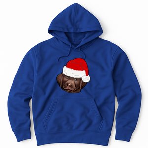 Labrador Retriever Dog Lover Funny Cute Hat Christmas Santa Great Gift Hoodie