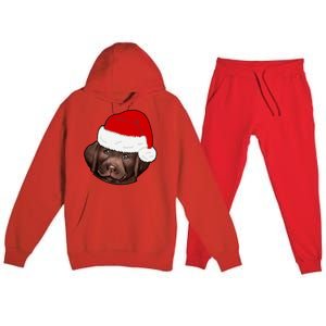 Labrador Retriever Dog Lover Funny Cute Hat Christmas Santa Great Gift Premium Hooded Sweatsuit Set