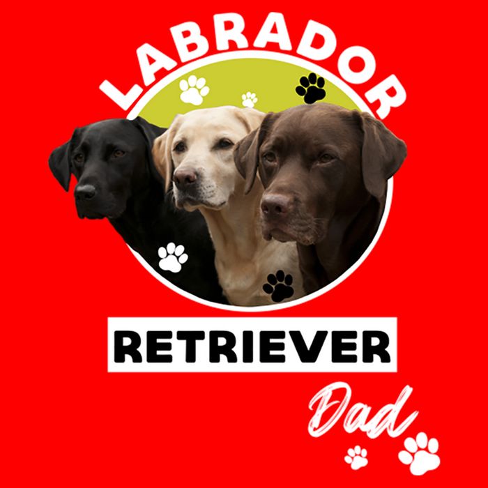 Labrador Retriever Dog Dad 16 in Basic Backpack