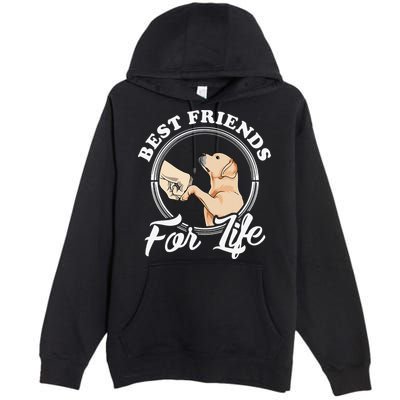 Labrador Retriever Design Funny Labrador Lovers Premium Pullover Hoodie