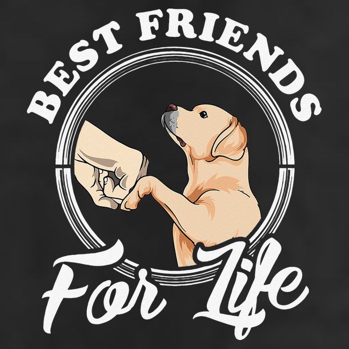 Labrador Retriever Design Funny Labrador Lovers Tumbler
