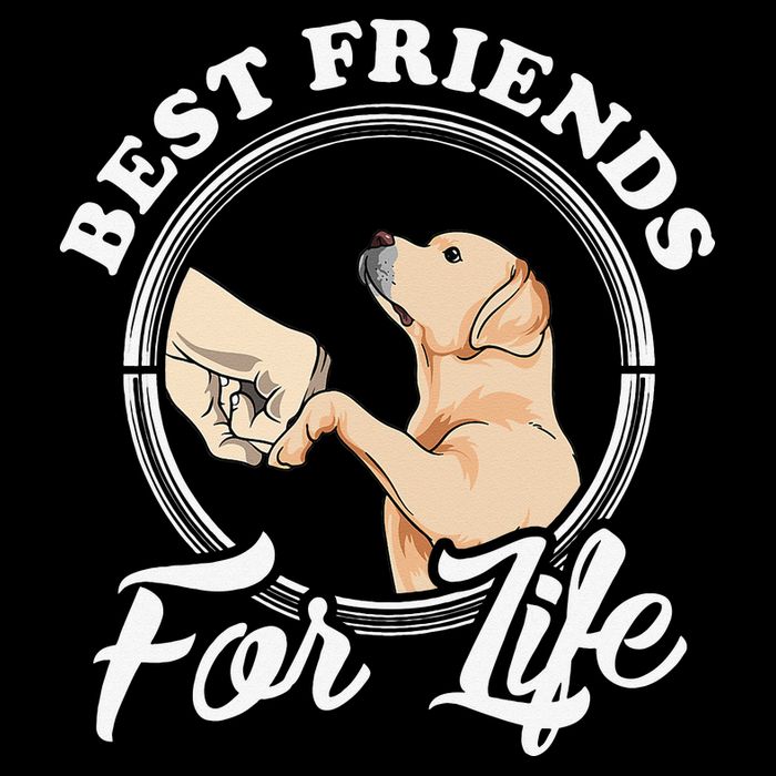 Labrador Retriever Design Funny Labrador Lovers Crop Top