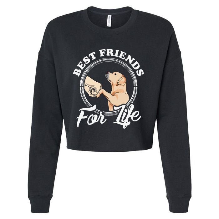 Labrador Retriever Design Funny Labrador Lovers Cropped Pullover Crew