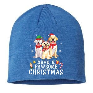 Labrador Retriever Dogs Merry Day Have A Pawsome Christmas Gift Sustainable Beanie